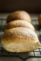 Whole Wheat Rolls