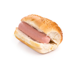 Tasty grilled hotdog