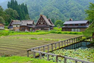 Historic Village of Gokayama in summer, Suganuma Gassho-zukuri v