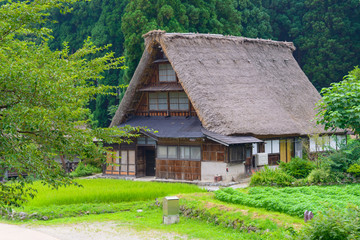 Fototapeta na wymiar Historic Village of Gokayama in summer, Suganuma Gassho-zukuri v