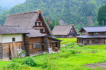 Fototapeta na wymiar Historic Village of Gokayama in summer, Suganuma Gassho-zukuri v