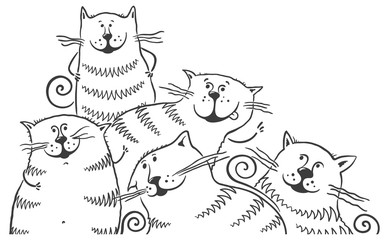 Black and white cats