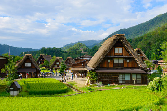 Fototapeta Historic Village of Shirakawa-go in summer