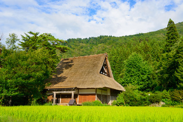 Fototapeta na wymiar Historic Village of Shirakawa-go in summer