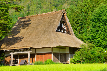 Obraz premium Historic Village of Shirakawa-go in summer