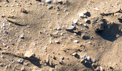 Spiaggia in inverno, texture