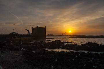 Essaouira coastal town in sunset