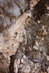 stone texture