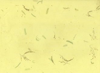 Old handmade paper texture background with dried flowers