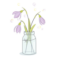 Spring flowers bouquet, snowdrops in jar