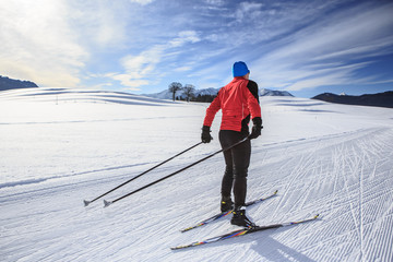 Fototapeta na wymiar cross-country skiing