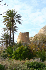 Fototapeta na wymiar les ruines du château de San Pedro