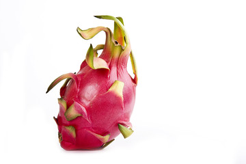Dragon Fruit, Pitahaya blanca, Hylocereus undatus.