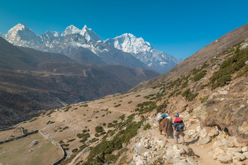 Fototapeta premium Mount Everest Base Camp Trek in Nepal