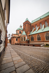 Fototapeta na wymiar Cathedral of St. John in Wroclaw,