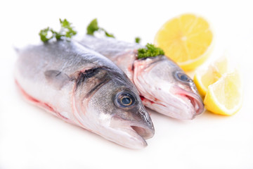 fresh fish