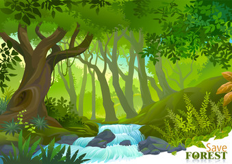 Water stream in lush green tropical rainforest - obrazy, fototapety, plakaty