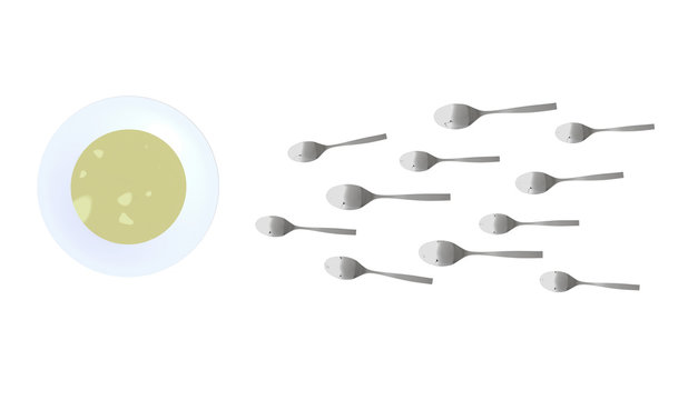 Spoons Look Like Sperm Competition