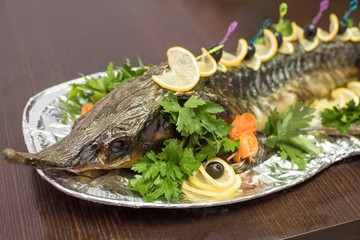 sturgeon