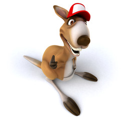 Fun kangaroo © Julien Tromeur