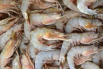 ASIA THAILAND PHUKET MARKT