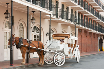 Fototapeta na wymiar Elegant horse-drawn carriage in French Quarter, New Orleans