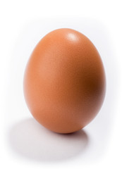 egg on a white background