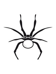 spider comic