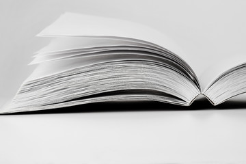 Blank book