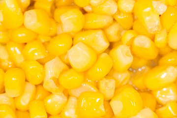 Raw canned corn texture wallpaper