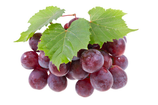grape with leaves