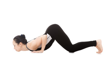 Fototapeta na wymiar Yogi female in yoga Eight-Limbed Posture