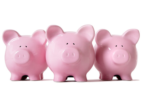 Row of pink piggy banks isolated on white background saving money concept photo