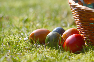 Decorated easter eggs in the grass