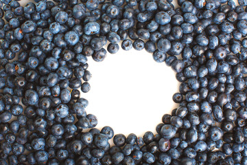 Freshly picked blueberries