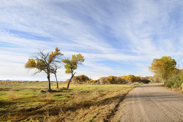 Fall Colors along Gravel Road in New Mexico