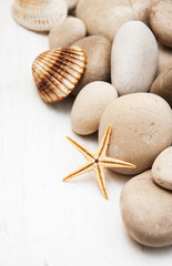 marine background with pebbles and starfish