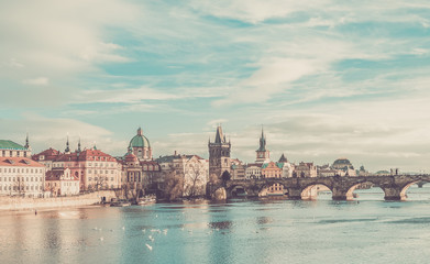 The view over the Vltava river, Charles bridge and white swans f