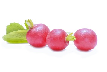 Garden radish isolated on white background