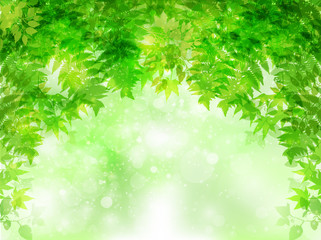 葉　新緑　背景