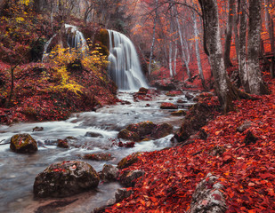 Panele Szklane Podświetlane  Wodospad Silver Stream (Las Jesienny na Krymie)