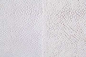 Two tone ray skin texture