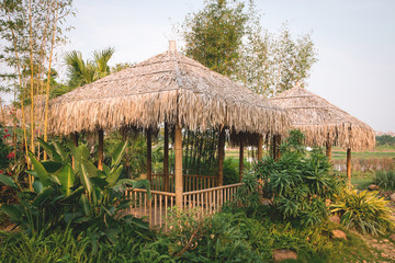Bamboo house 