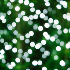 Obraz premium Bokeh