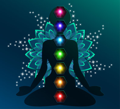 illustration of human chakra, lotus flower