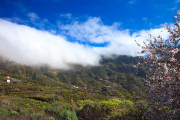 Caldera de Tejeda in winter