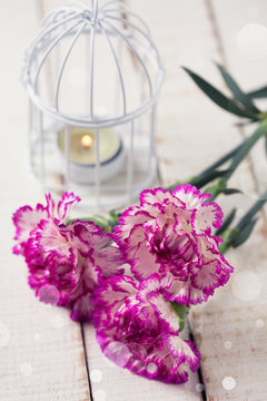 Postcard with elegant  carnations flowers