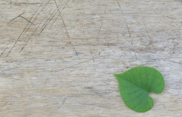 heart-shaped leaves on wood background. .