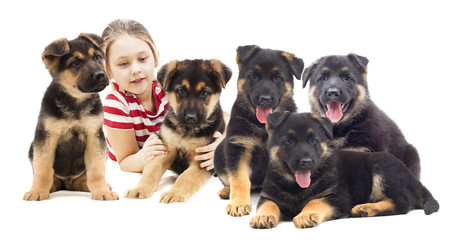 child and a group of puppies