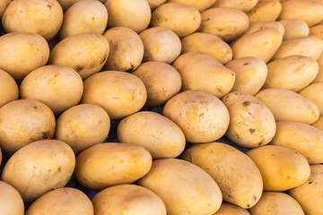 Yellow mango in market, Thailand